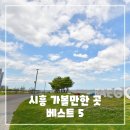 한울공원 관광휴게동 | 시흥 가볼만한곳 베스트 5 - 여행지 추천 리스트