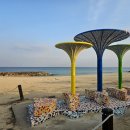 명태의 꿈(아트벤치 이미지