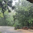 지리산쌍계한의원 이미지