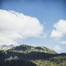 마음챙김 요가&명상 이미지