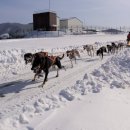 입지목장 이미지