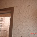 5·6호(2) 이미지