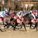 기량축산 이미지