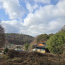 손이 시려 스산한 날, 30년전 간도 용정을 생각하다 이미지