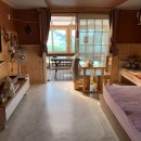 솔푸른향기애견 이미지