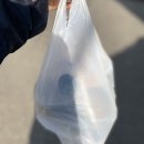 삼부상회 - 동대문구 | [응암/신사 샐러드]샐러드상회:리코타치즈샐러드 맛집 내돈내산후기