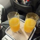 시드니 | 시드니 인천 젯스타 좌석 이코노미, 인천 시드니 비즈니스 내돈내산 탑승후기