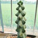 용비농장 이미지