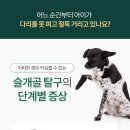 해온동물병원 이미지