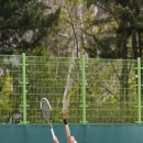 톱 프로 핵심 기술- 볼만 잘봐도 이긴다 이미지