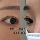 비어업 | 속눈썹 생장제 추천 2탄!!(생장제 끝판왕 래쉬애딕트 찐후기,그로우업 영양제 후기, 속눈썹 영양제 추천)