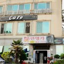 톱머리활어 이미지