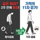 보폭 - 10224 | "옆집 엄마도 놀란 구부정 허리 교정법! 직접 효과 본 3박자 올바른 걷는 자세와 보폭