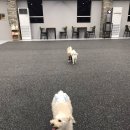 독플래닛 이미지