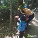 자연속으로 이미지