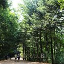 올림픽펜션 이미지