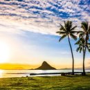 일동하와이 이미지