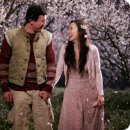 너는내운명 이미지