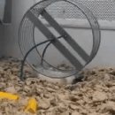 경우체육관 이미지