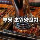 초원양꼬치 | [부평맛집] 양꼬치맛집 초원양꼬치 방문 솔직후기