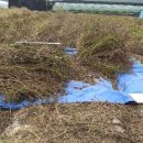 (주)일성부곡콘도미니엄 이미지