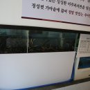예담추어정 이미지