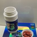 개나리봄약국 이미지