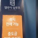 엘루이 이미지