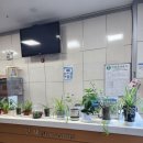 고양장미란체육관 탁구장 이미지