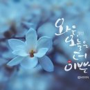 캘리그라피 이미지