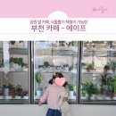 이색뽑기 | [부천] 에이프 - 공원 옆 카페, 식물뽑기가 있는 이색식물카페 주말방문 후기