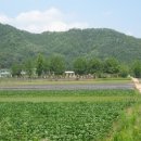 신사초등 이미지