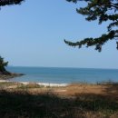 노을이머무는집 이미지