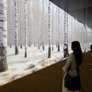 송이 아시아마트 이미지