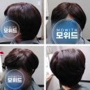 모위드헤어