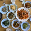 렉스필드CC노동조합 | 이포CC 라운딩 후 1만 원에 무너진 날, 여주 진도가든 가정식백반 30년 노포 솔직 후기