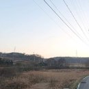 여주-1133 이미지