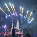 젤트론코리아 | 걸어서 상하이속으로..🫧(상하23)