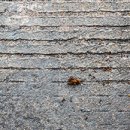 주식회사케이티(부천빌딩) 이미지