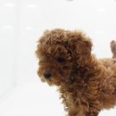 바우스토리 이미지