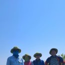 동백로 이미지