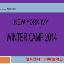 (New York Ivy Winter Camp) 7월 23일~8월 20일(4주)/ 7월 23일~9월 2일(6주) 미국 New York 겨울방학 해외영어캠프 이미지