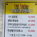 도비마루 | 천안 고양이카페 냥이마루