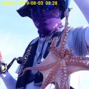 문어민박 이미지