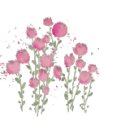 헤로즈 이미지