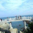 해동용궁사 이미지