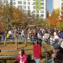 숲속해아뜰유치원 이미지