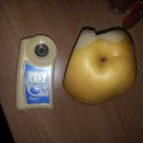 화산농원 이미지