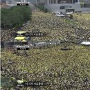 국제전상 | 디키노돈, 키노돈트,데이노수쿠스, ‘낮새 밤쥐’