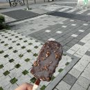 써니코인노래연습장 이미지